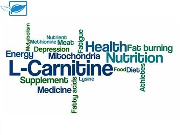 Suplemen Nutrisi Seri L-Carnitine