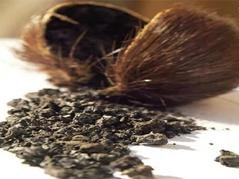 Mengapa Deer Musk Powder Populer di Pasaran?