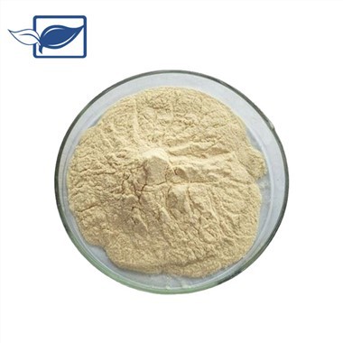 Ekstrak Ginseng Bubuk Ginsenoside