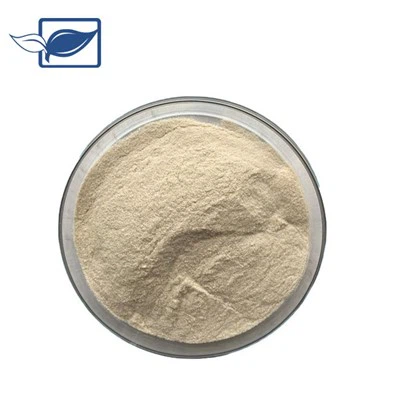 Serrapeptase
